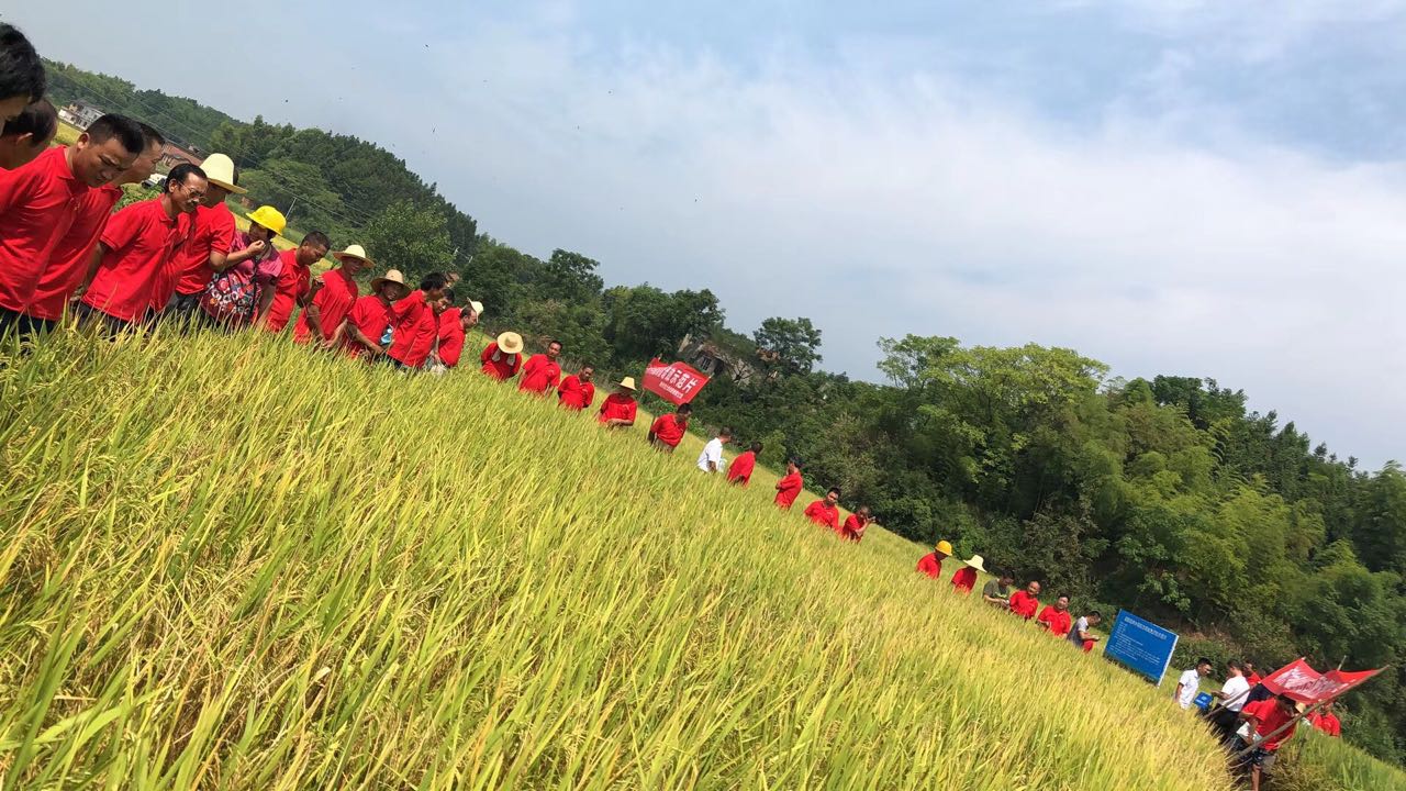 郴州市金土地化肥有限公司,湖南配方肥定點加工,林木肥銷售,有機(jī)肥質(zhì)量 郴州市金土地化肥有限公司,湖南配方肥定點加工,林木肥銷售,有機(jī)肥質(zhì)量