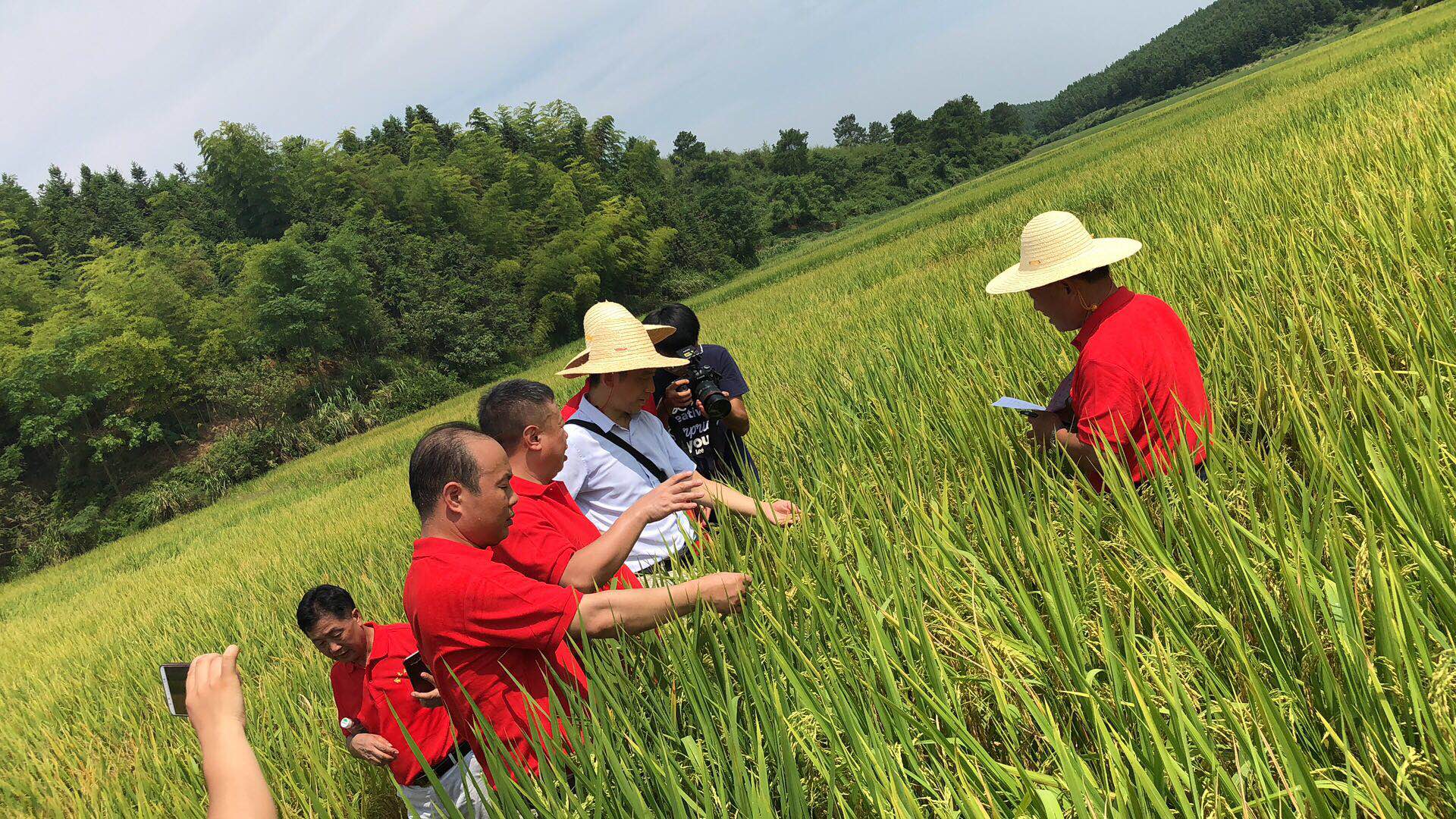 郴州市金土地化肥有限公司,湖南配方肥定點加工,林木肥銷售,有機(jī)肥質(zhì)量 郴州市金土地化肥有限公司,湖南配方肥定點加工,林木肥銷售,有機(jī)肥質(zhì)量
